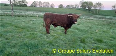 photo non disponible